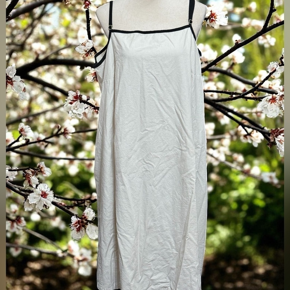 Ava & Viv Cream and Black midi dress.